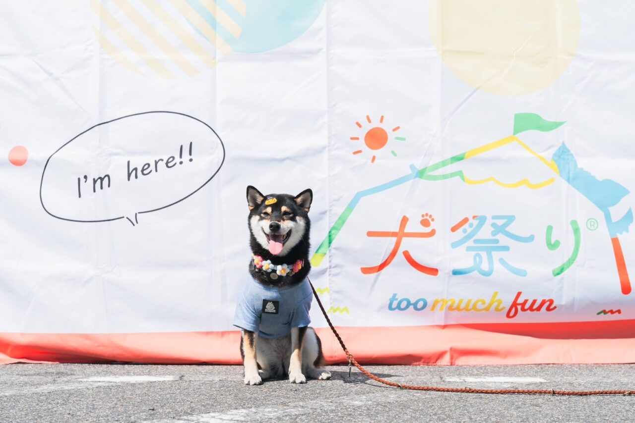 土岐市犬祭りアウトレット