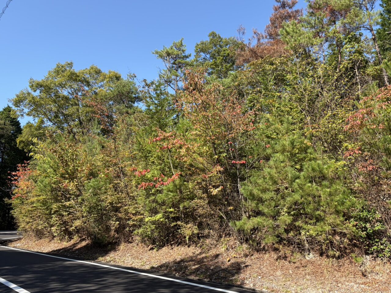 土岐市開通イベント