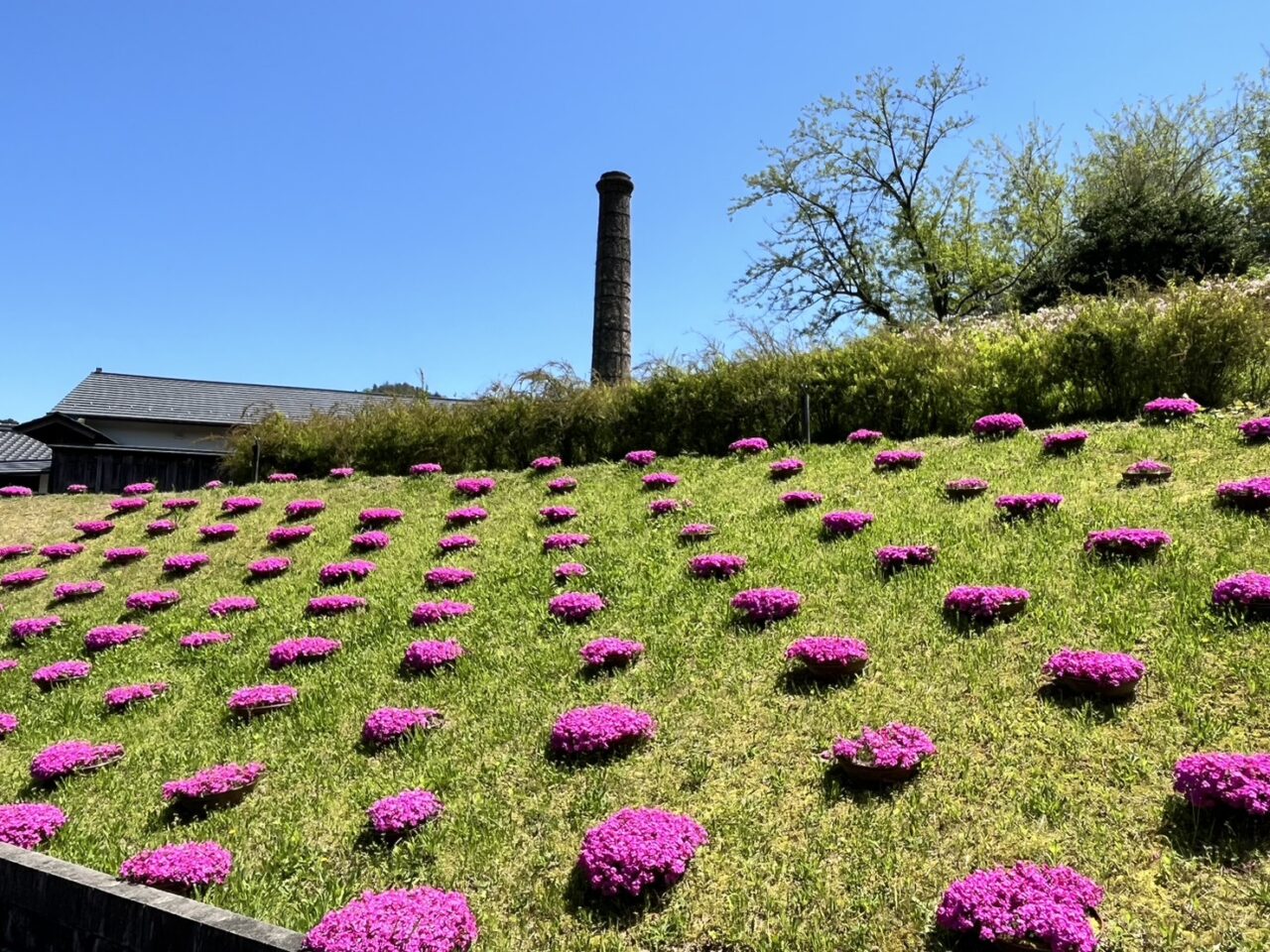 土岐市うつわさがし第２弾