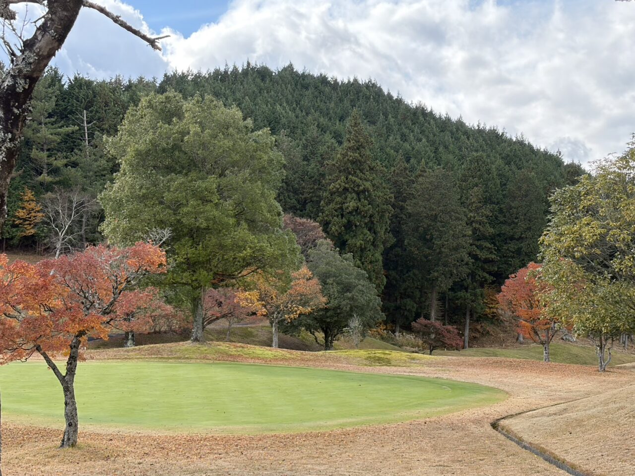 恵那市ドッグフェス