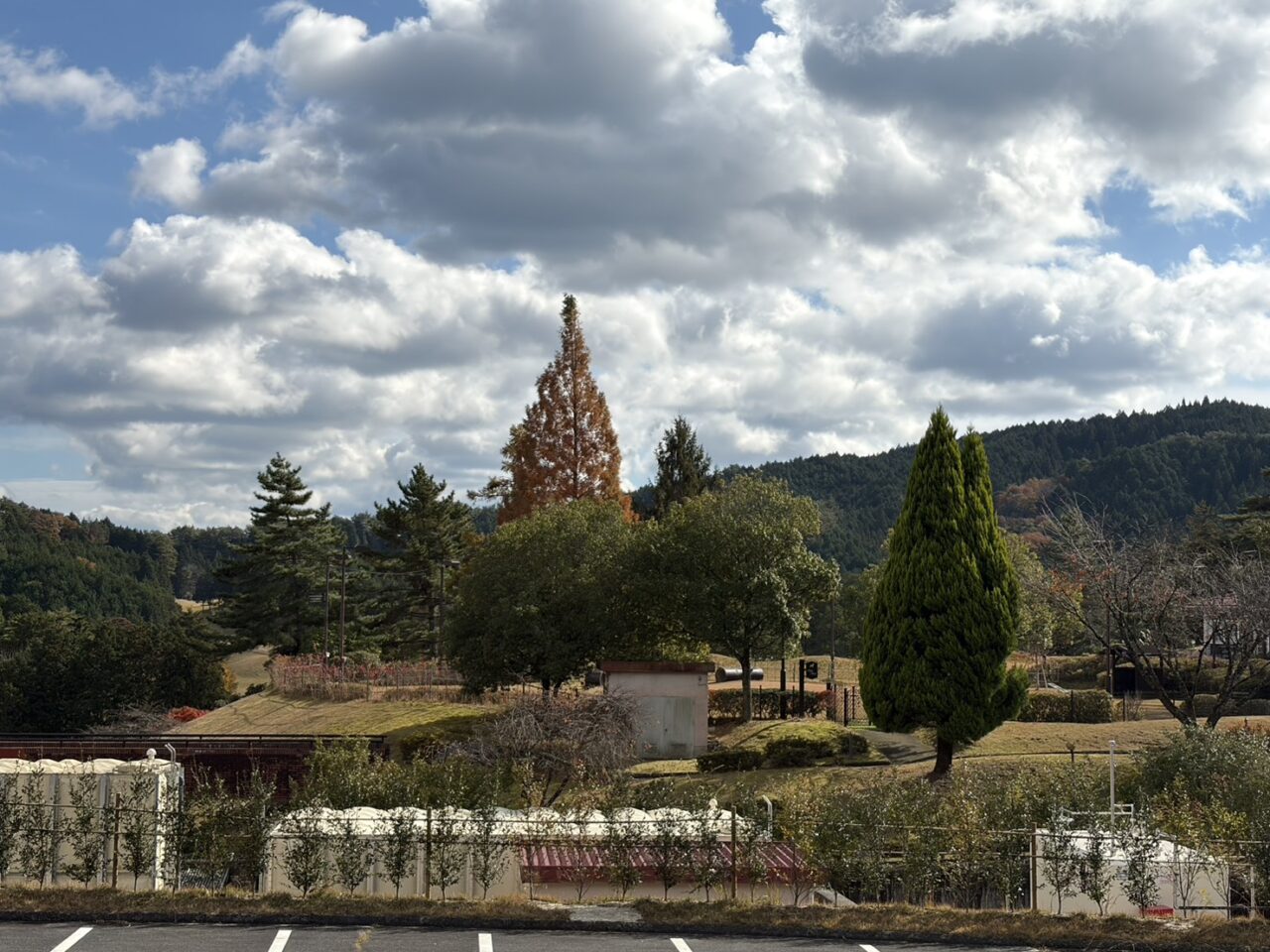 恵那市ドッグフェス