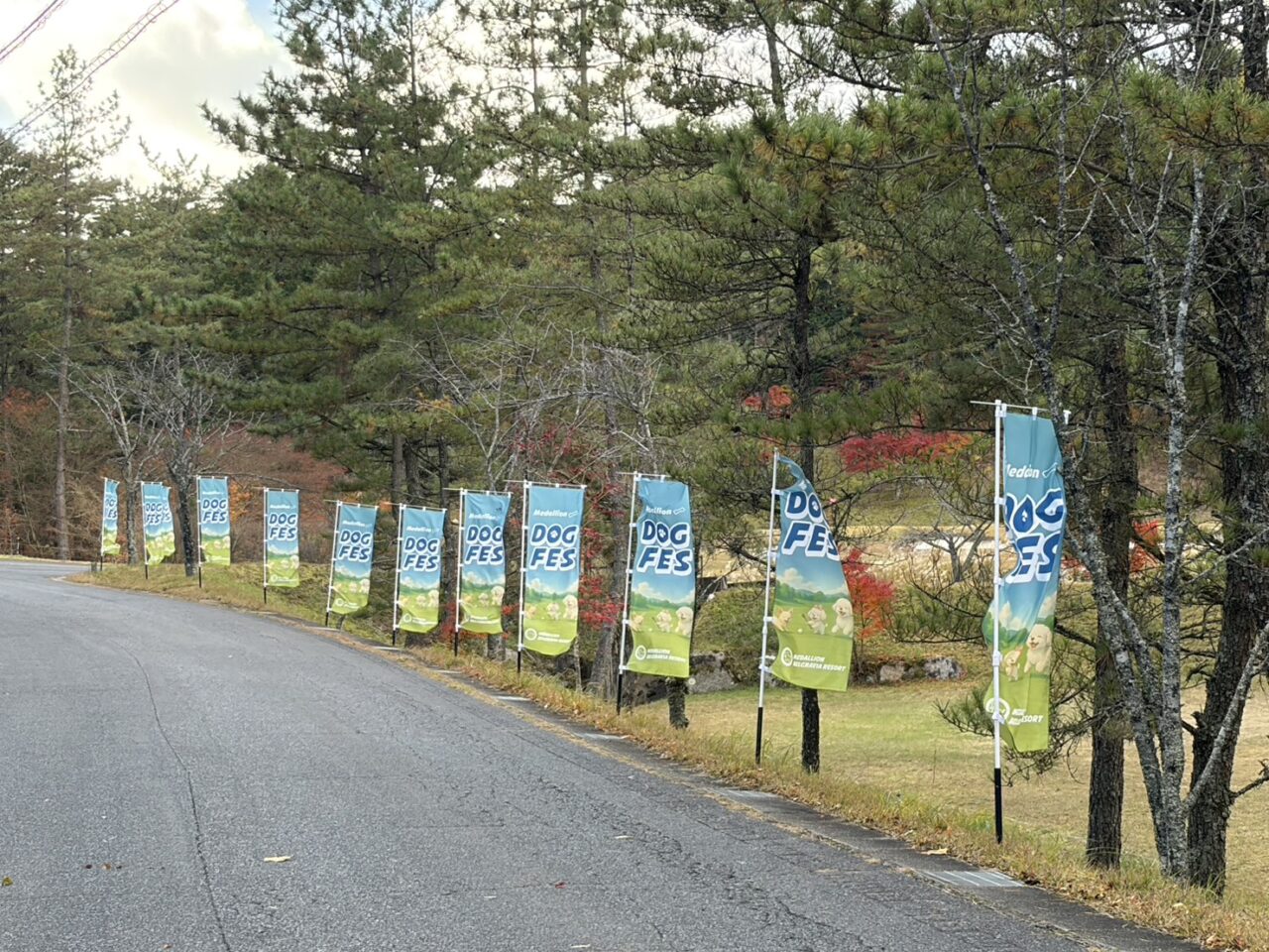 恵那市ドッグフェス