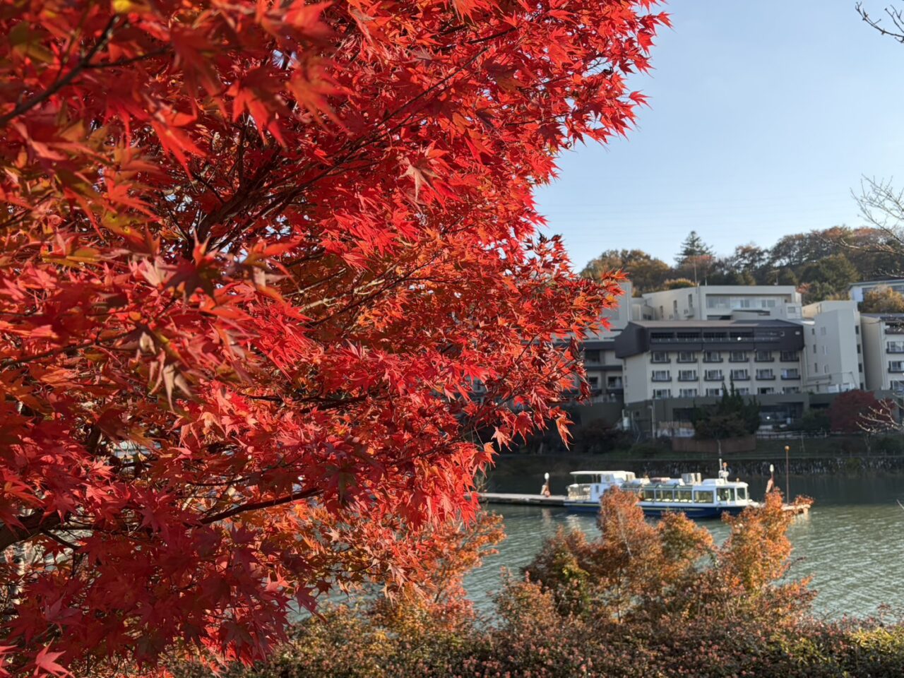 恵那市もみじまつり