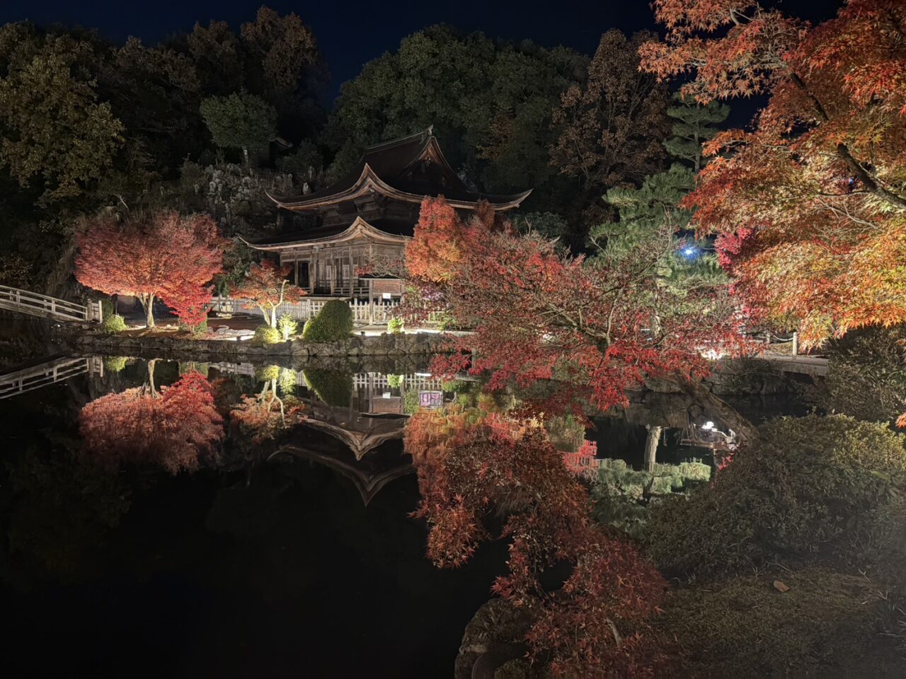 多治見市もみじライトアップ