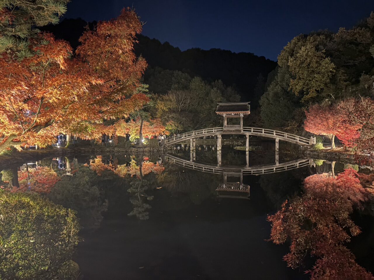 多治見市もみじライトアップ