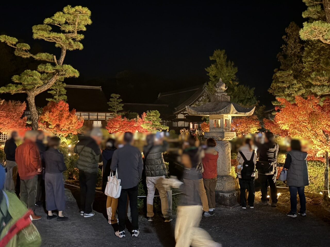 多治見市もみじライトアップ