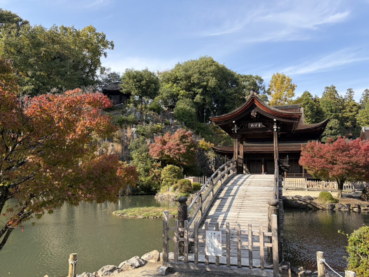 多治見市もみじまつり