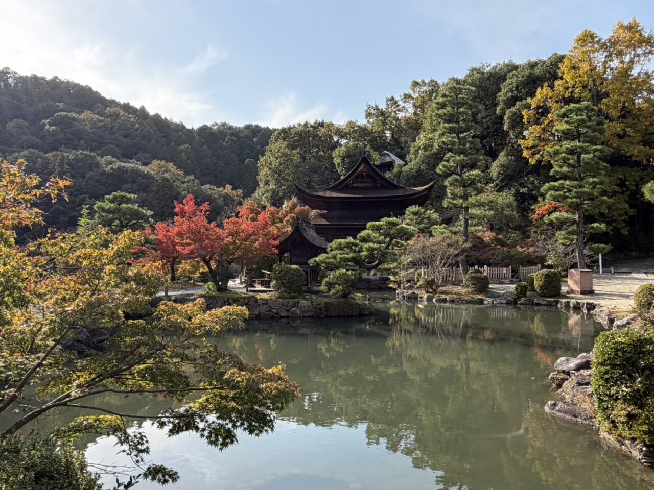 多治見市もみじまつり