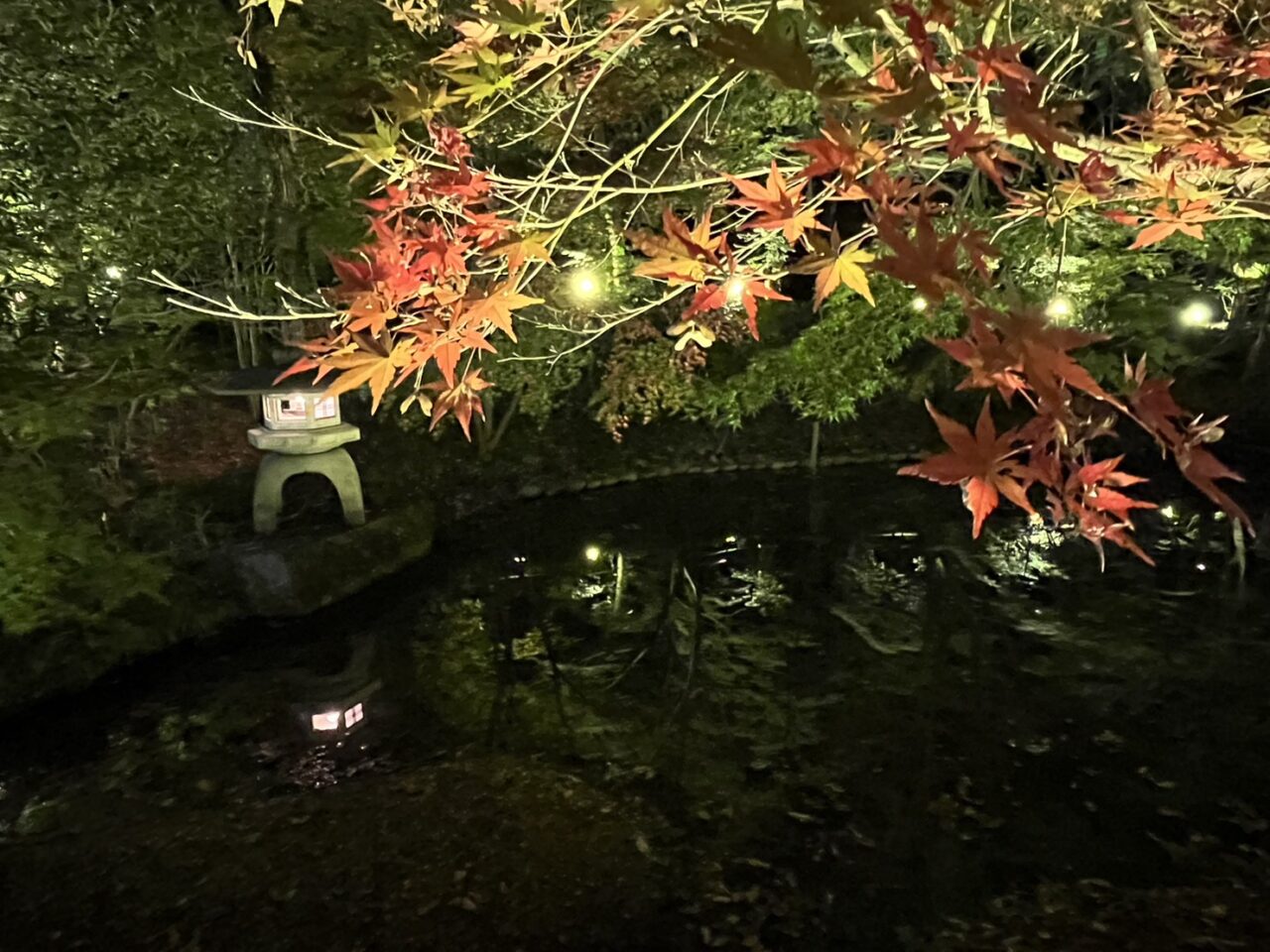 多治見市もみじまつり