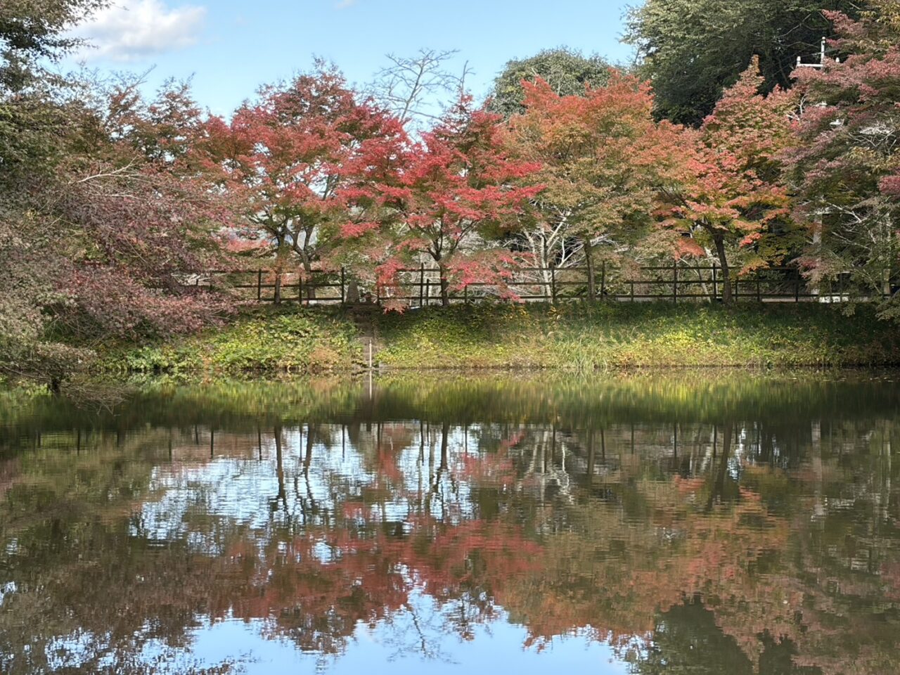 土岐市穴弘法2025