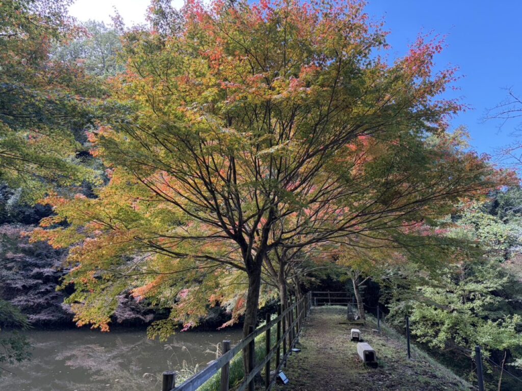 土岐市穴弘法2025