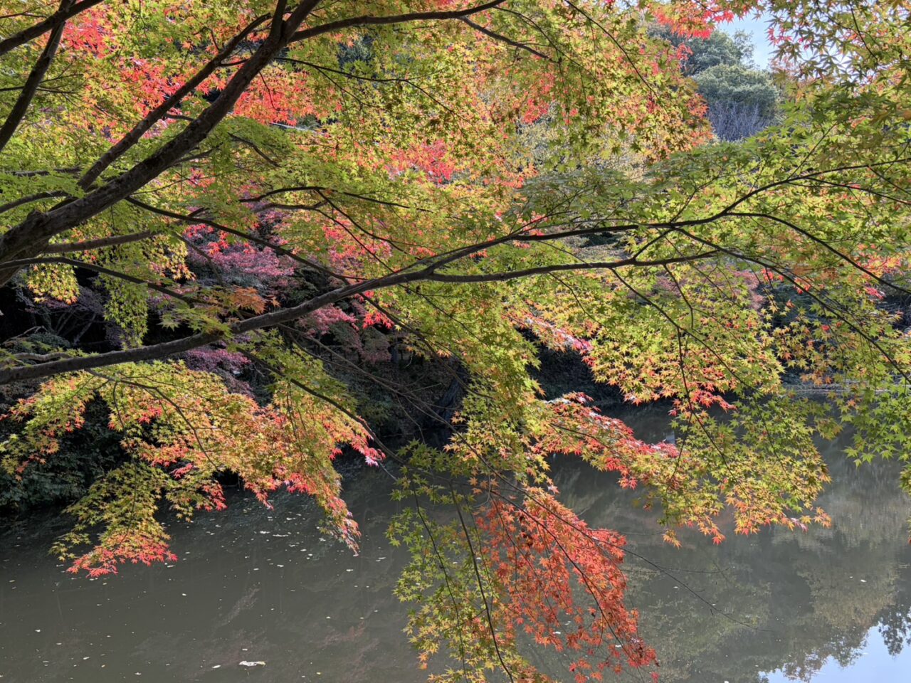 土岐市穴弘法2025