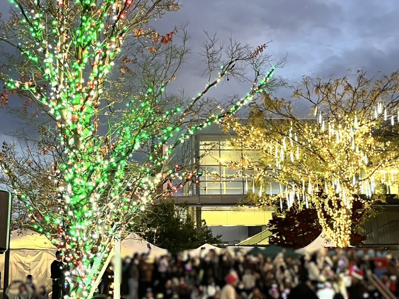 多治見市たわけまる