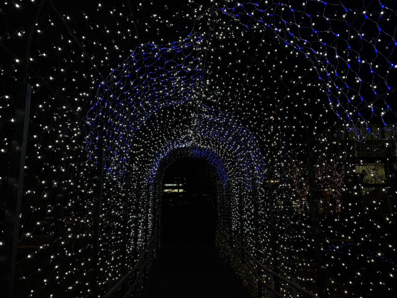 多治見市タジミネーション