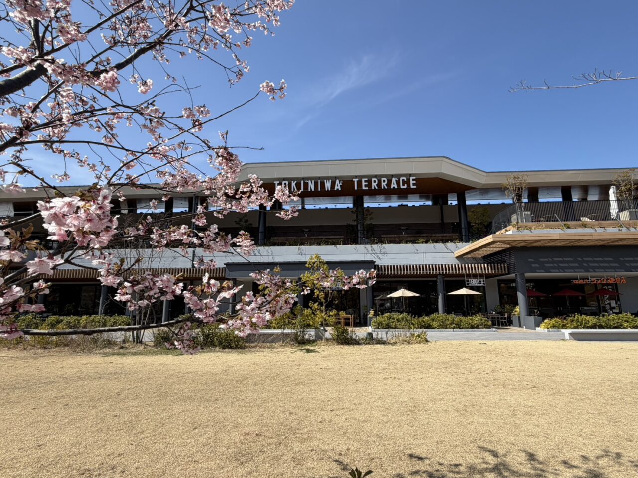 土岐市がぶりチキン