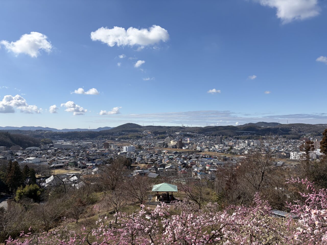 土岐市恋愛マッチ