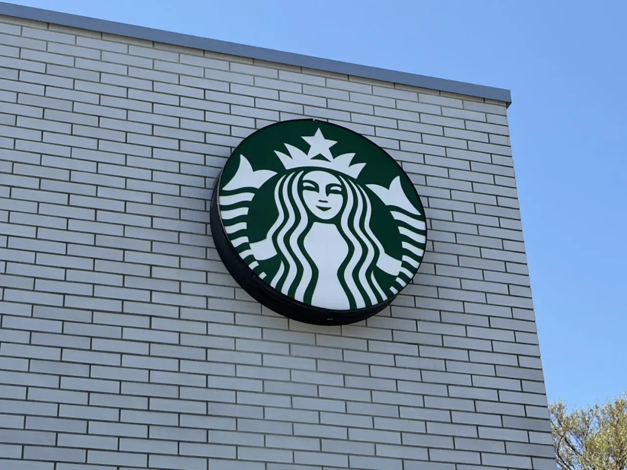 多治見市スタバ新作