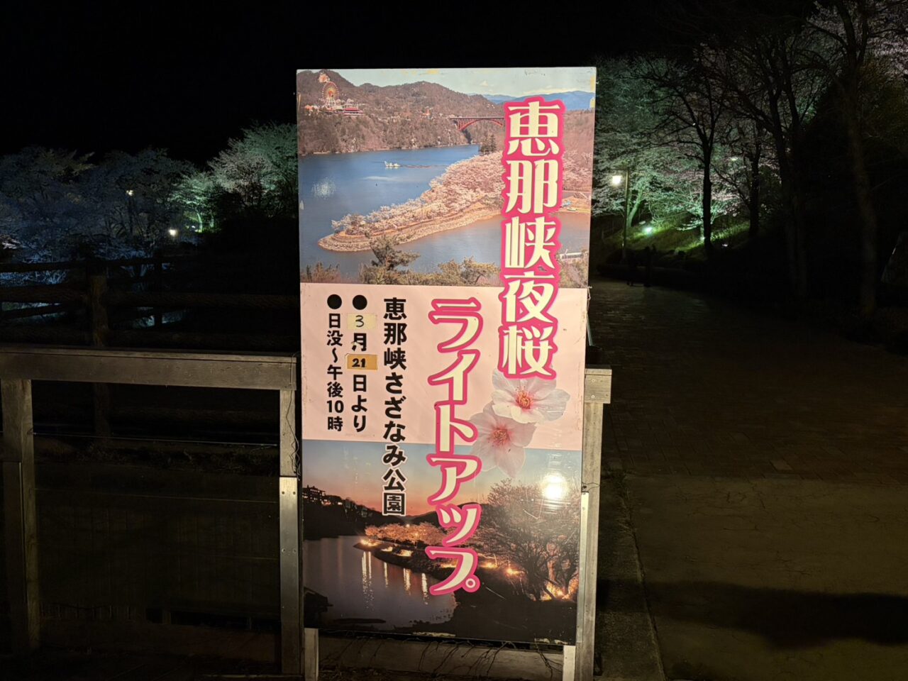 恵那市桜ライトアップ