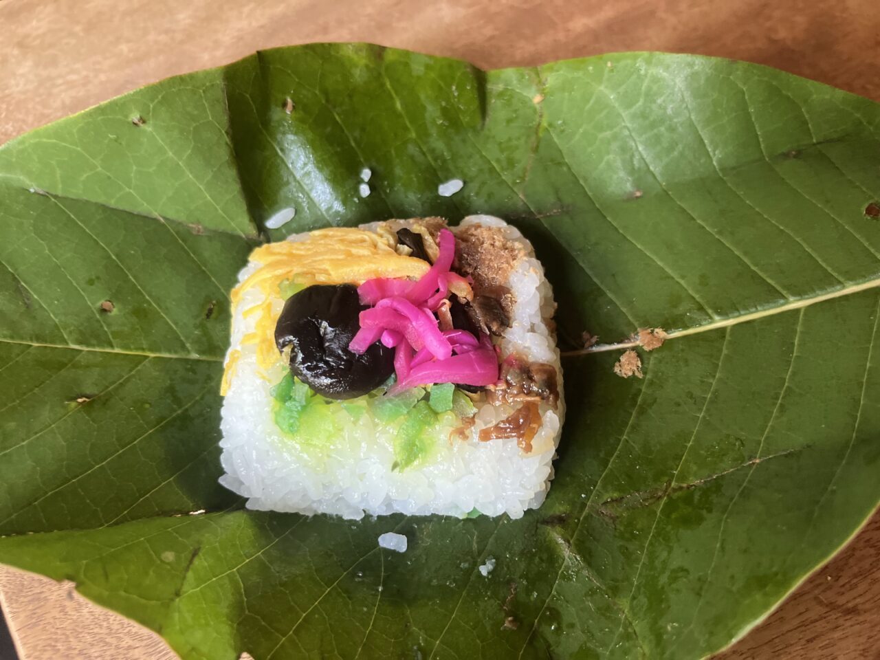 恵那市朴葉解禁