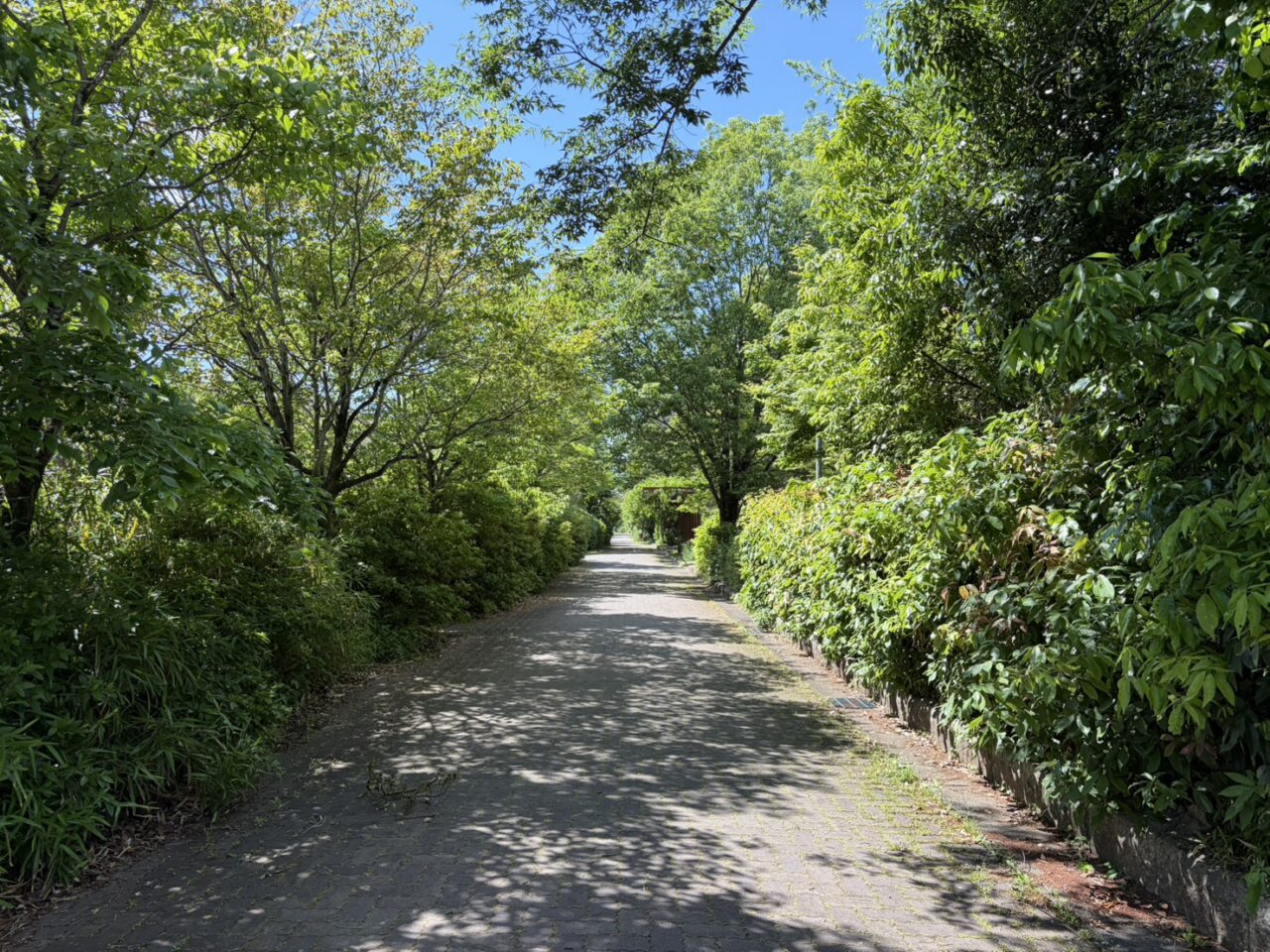 多治見市陶彩タイル