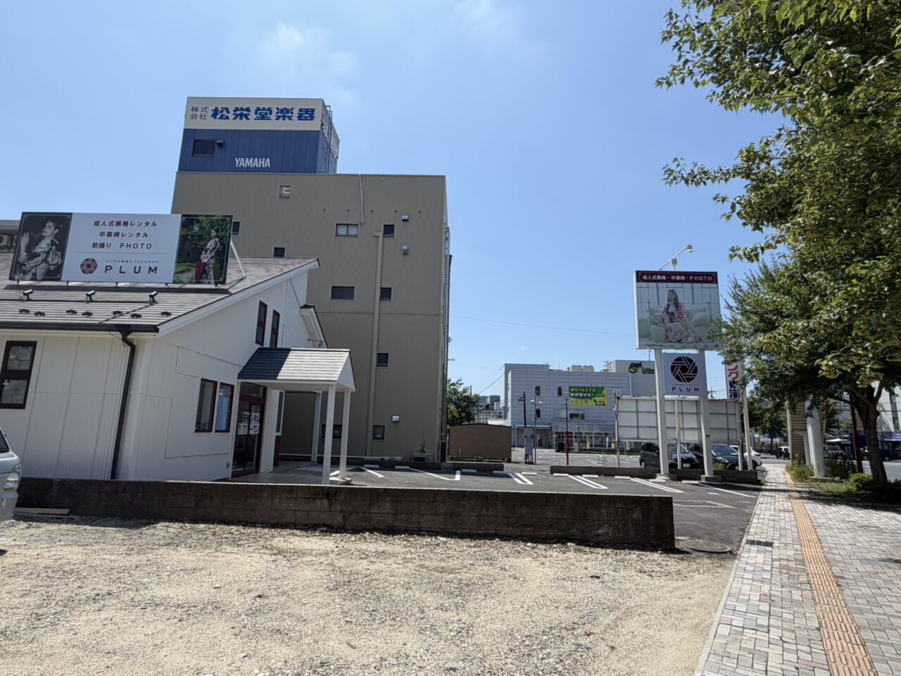 多治見市プラム