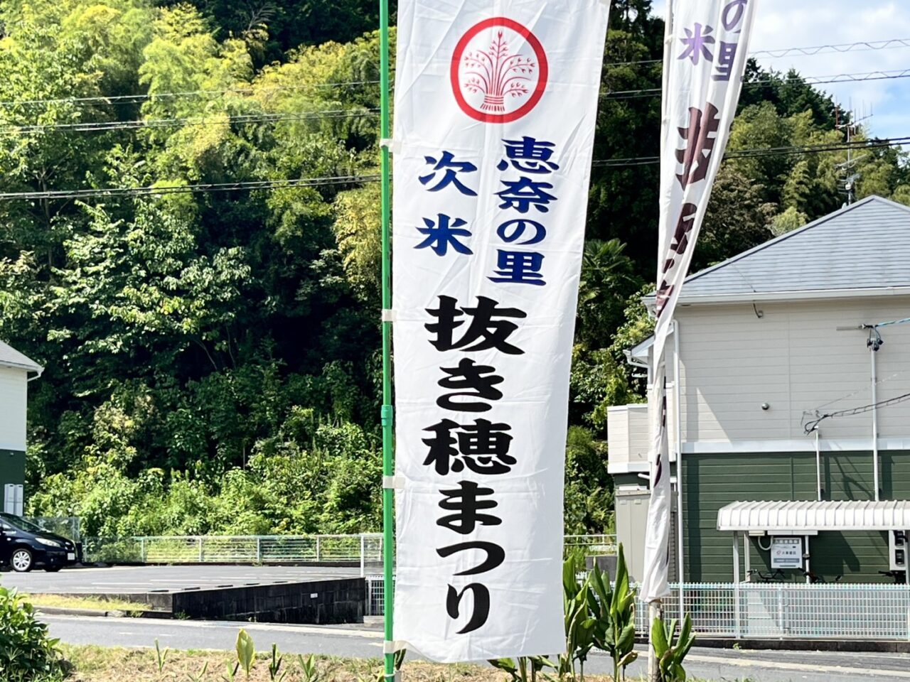 恵那市次米抜き穂