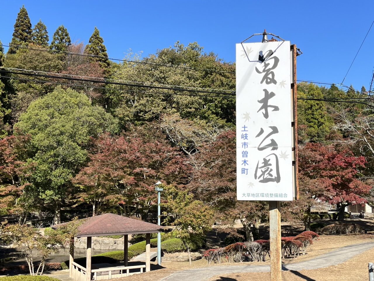 土岐市曾木もみじ復活