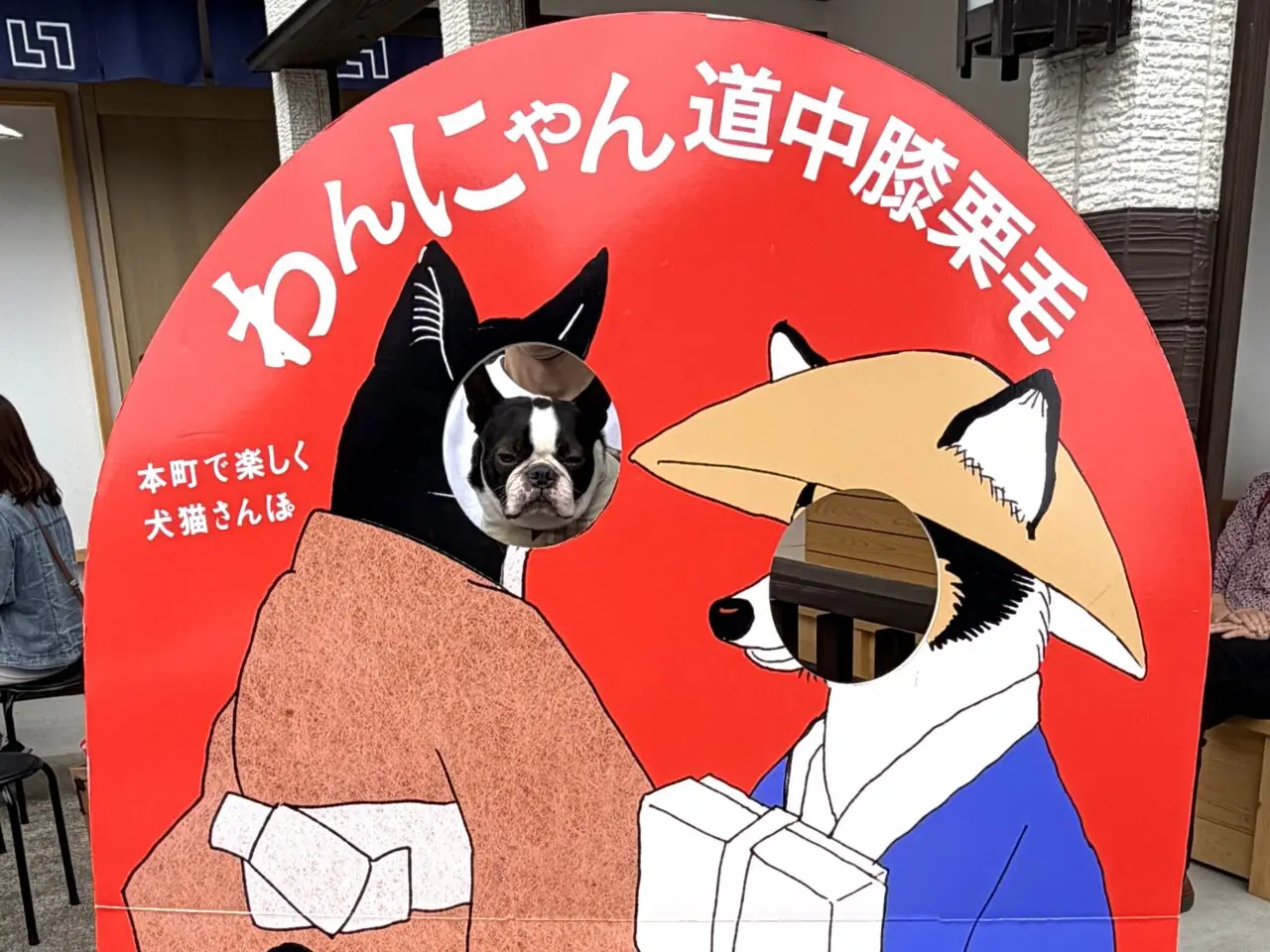 中津川市わんにゃん
