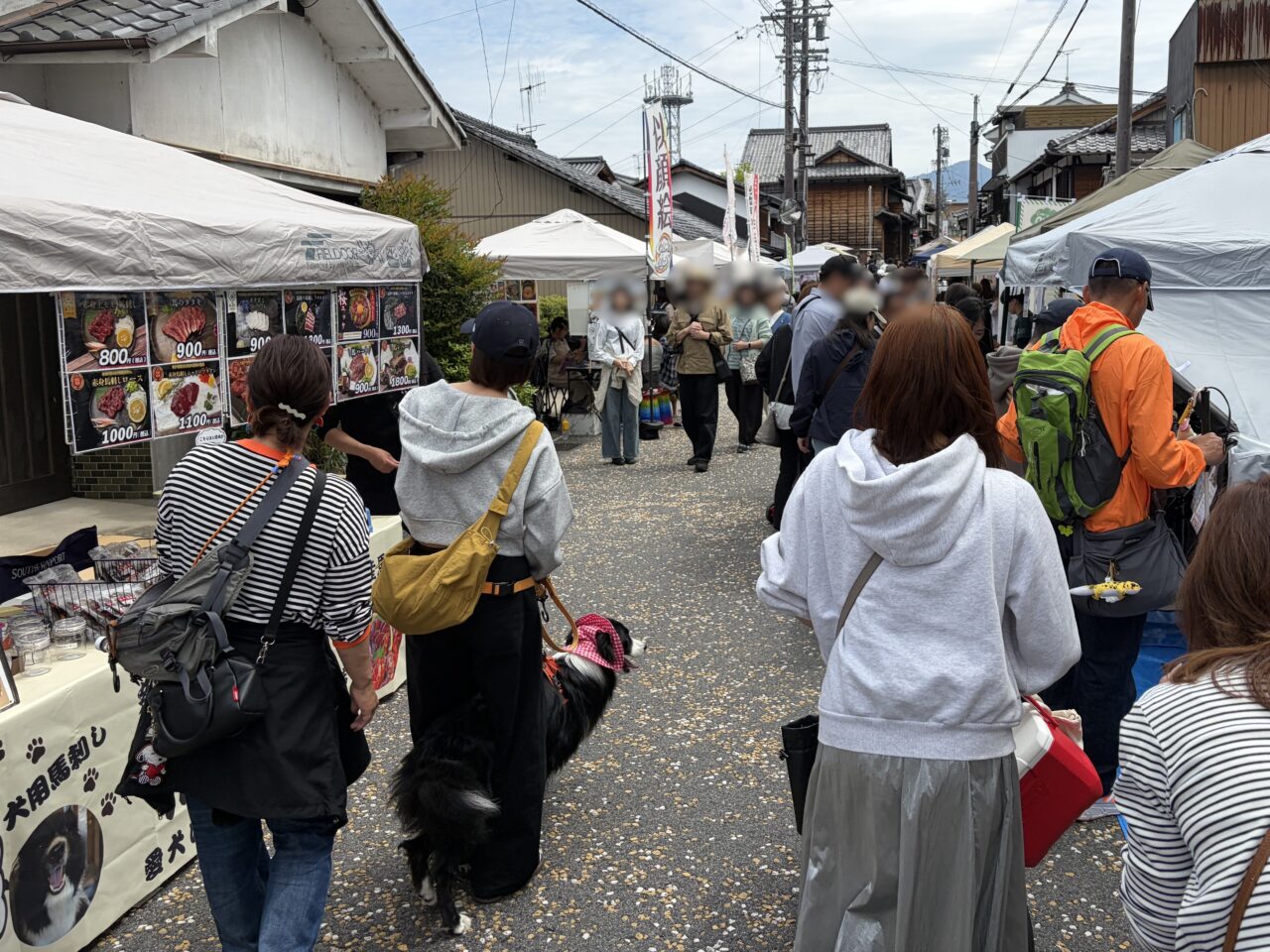 中津川市わんにゃん